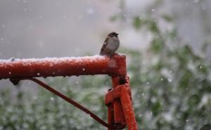 Snijeg na ulicama Sarajeva